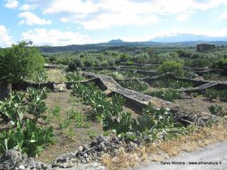 ndolito-11-06-2014 07-40-50